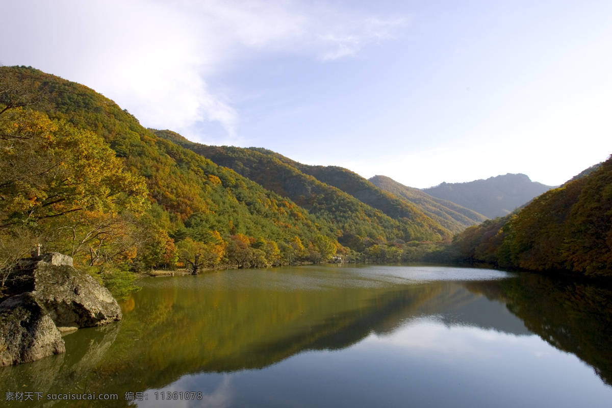 树免费下载 风景 山水风景 摄影图 树 植物 自然景观 水 家居装饰素材 山水风景画