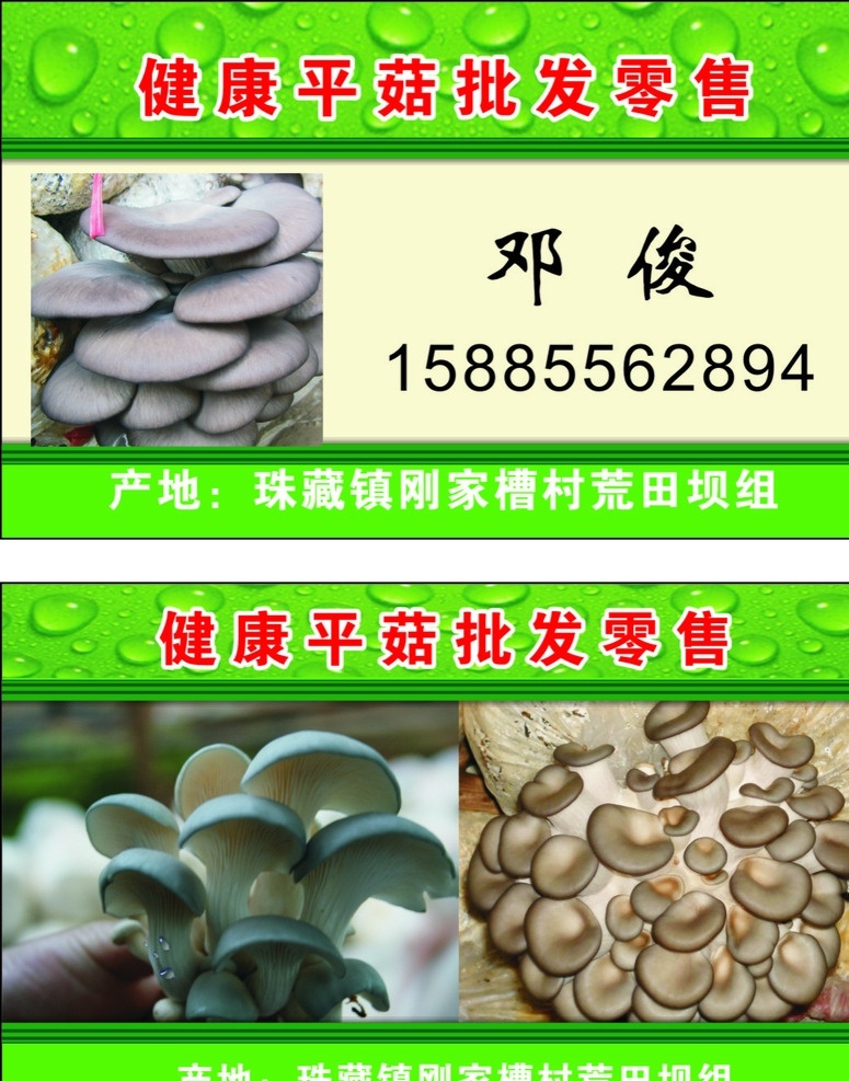 平菇 蘑菇 名片背景 平菇批发零售 绿色背景 名片 名片卡片