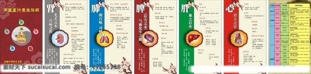 中医 五行 养生 详解 宣传 单张 阴阳 图解 中医五行图解 太极 医学 dm宣传单 矢量