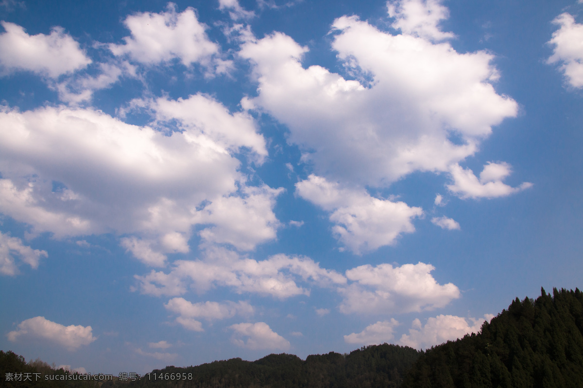 蓝天 树木 海报 背景 蓝色 天空 云朵海报背景 云 云朵 蔚蓝天空 密集的云朵 多云 晴朗