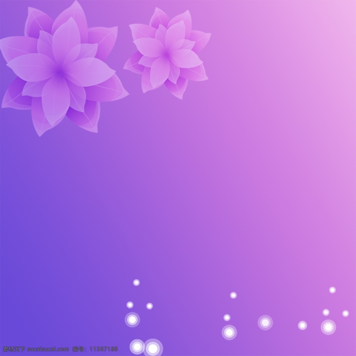 花朵 唯美花朵 背景 蓝紫 淘宝 星光 主图背景 紫色 主 图