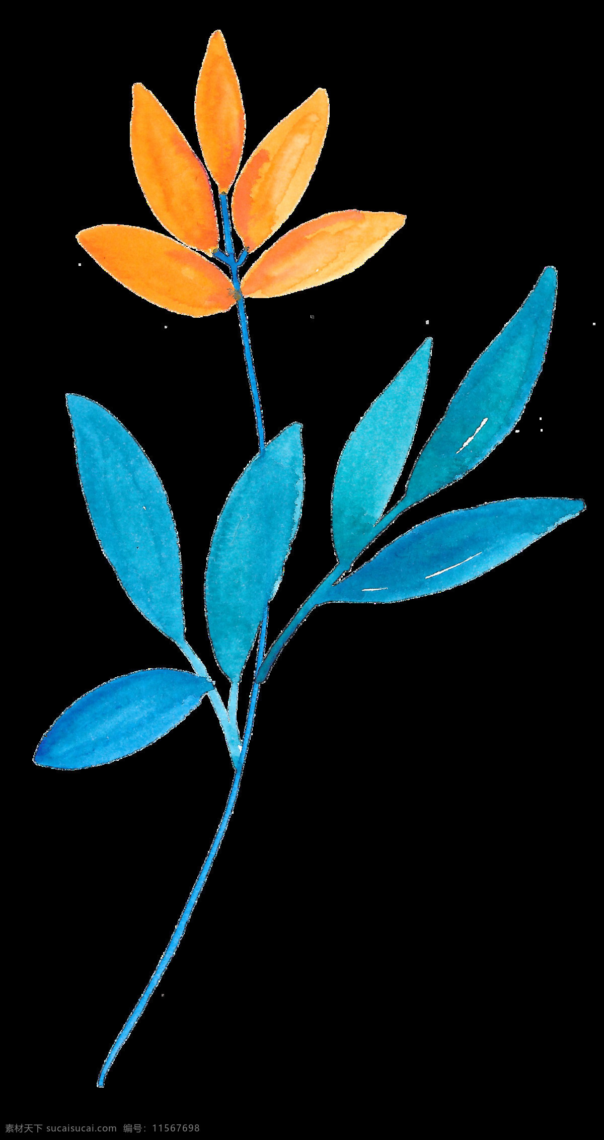 黄蓝 树叶 卡通 透明 叶子 植物 透明素材 免扣素材 装饰图案