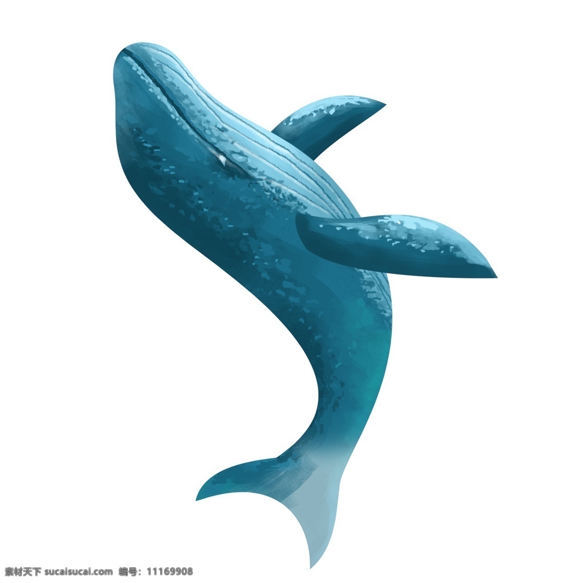 蓝色 卡通 鲸鱼 元素 手绘 插画 蓝鲸 海洋生物