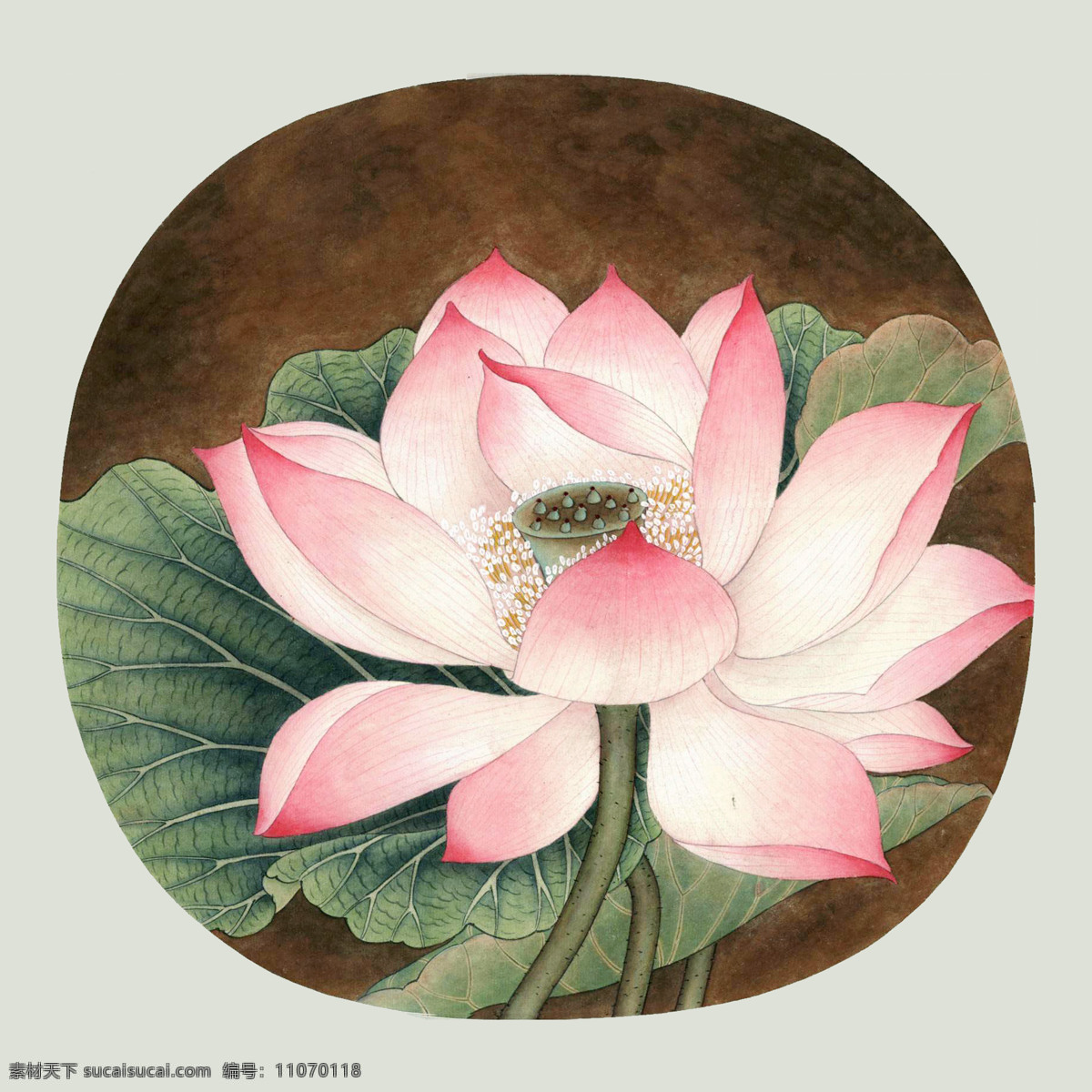 红 莲花 炝杓扑夭 装饰素材 印章 雕刻 图案