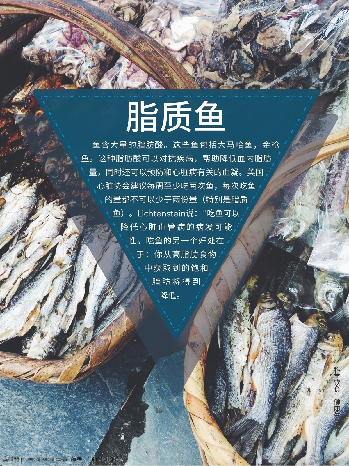 脂质鱼 深海鱼 生鲜 超市 餐厅 文化 展板 招贴设计