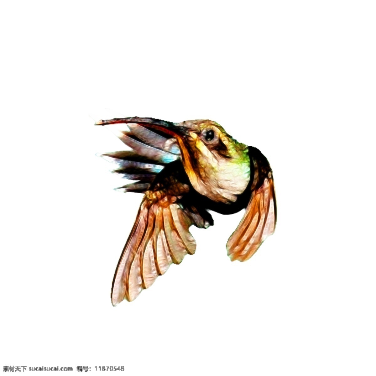 蜂鸟 水彩 水粉 手绘 数码 印花 鸟 分层 源文件