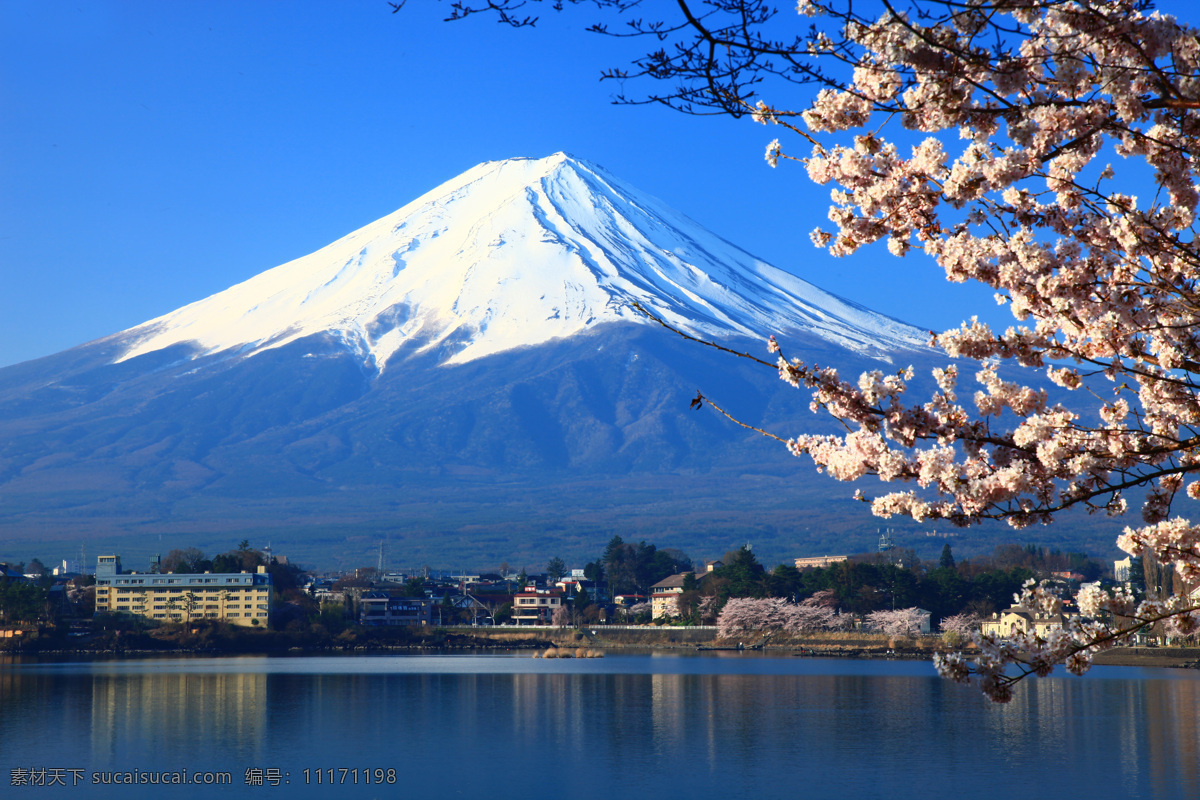日本富士山 日本 富士山 名山 樱花 蓝天 雪山 火山 活火山 湖泊 日本旅游 日本风光 国外旅游 旅游摄影