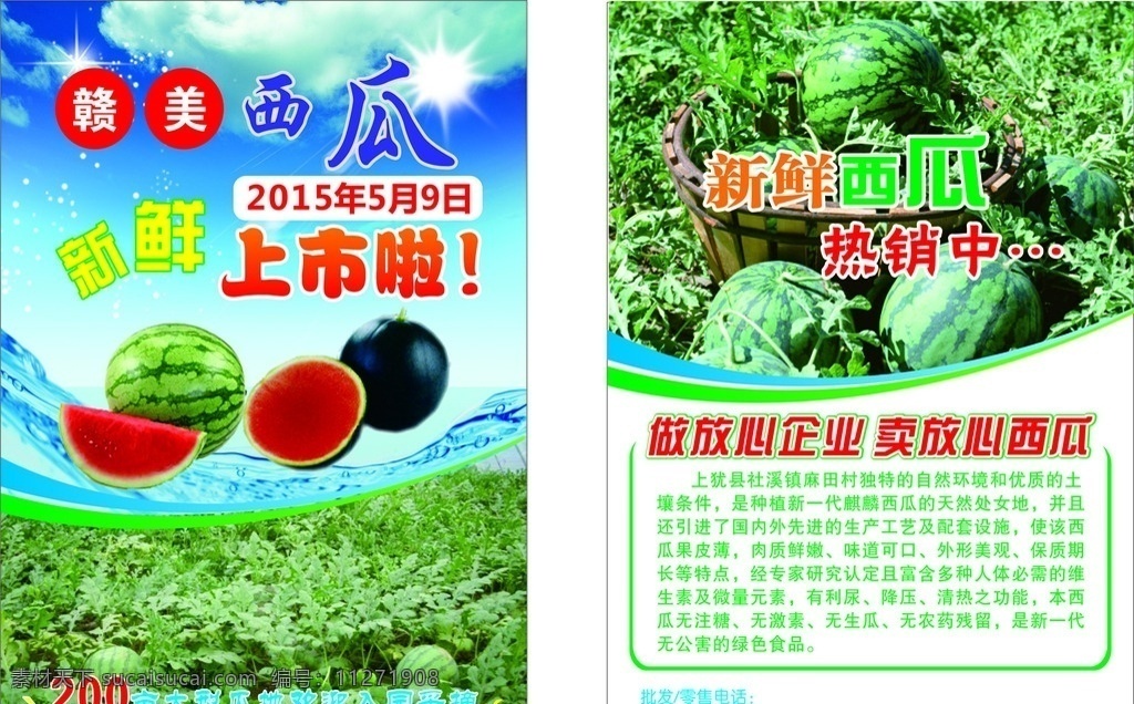 西瓜dm单页 西瓜单页 西瓜宣传单 种植 新鲜 绿色食品 新鲜上市 火热销售