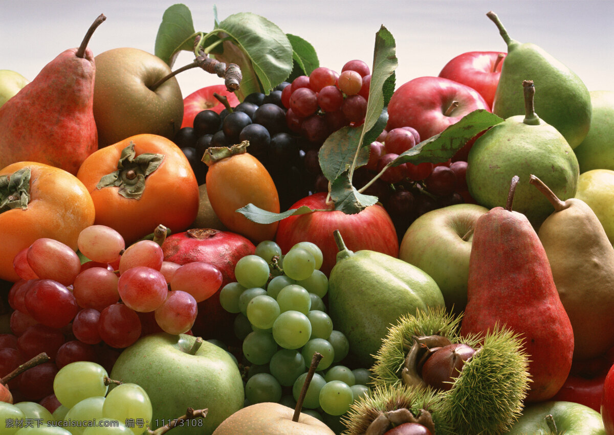 水果图 葡萄 柿子 梨 板栗 水果 营养 美味 苹果 野生水果 餐饮美食 食物原料 摄影图库