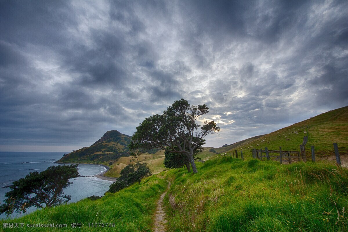 徒步旅行路径 新西兰 路径 徒步旅行 风景 小道