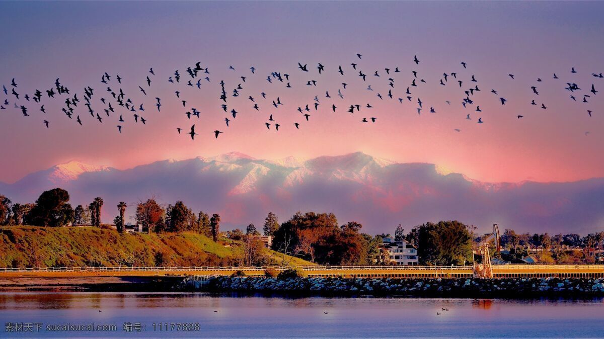 鸟群 山 水 树 云 天空 蓝色 绿色 自然 风景 光影 渐变 鸟 粉色