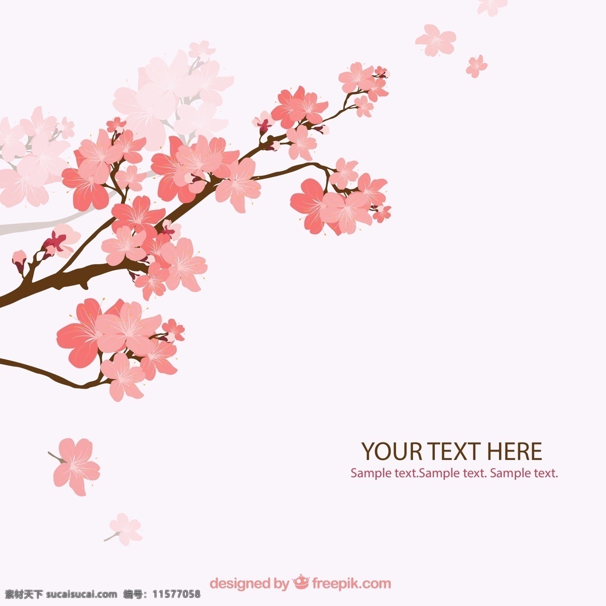 樱花 花枝 背景图片 花朵 矢量图 格式 矢量 高清图片