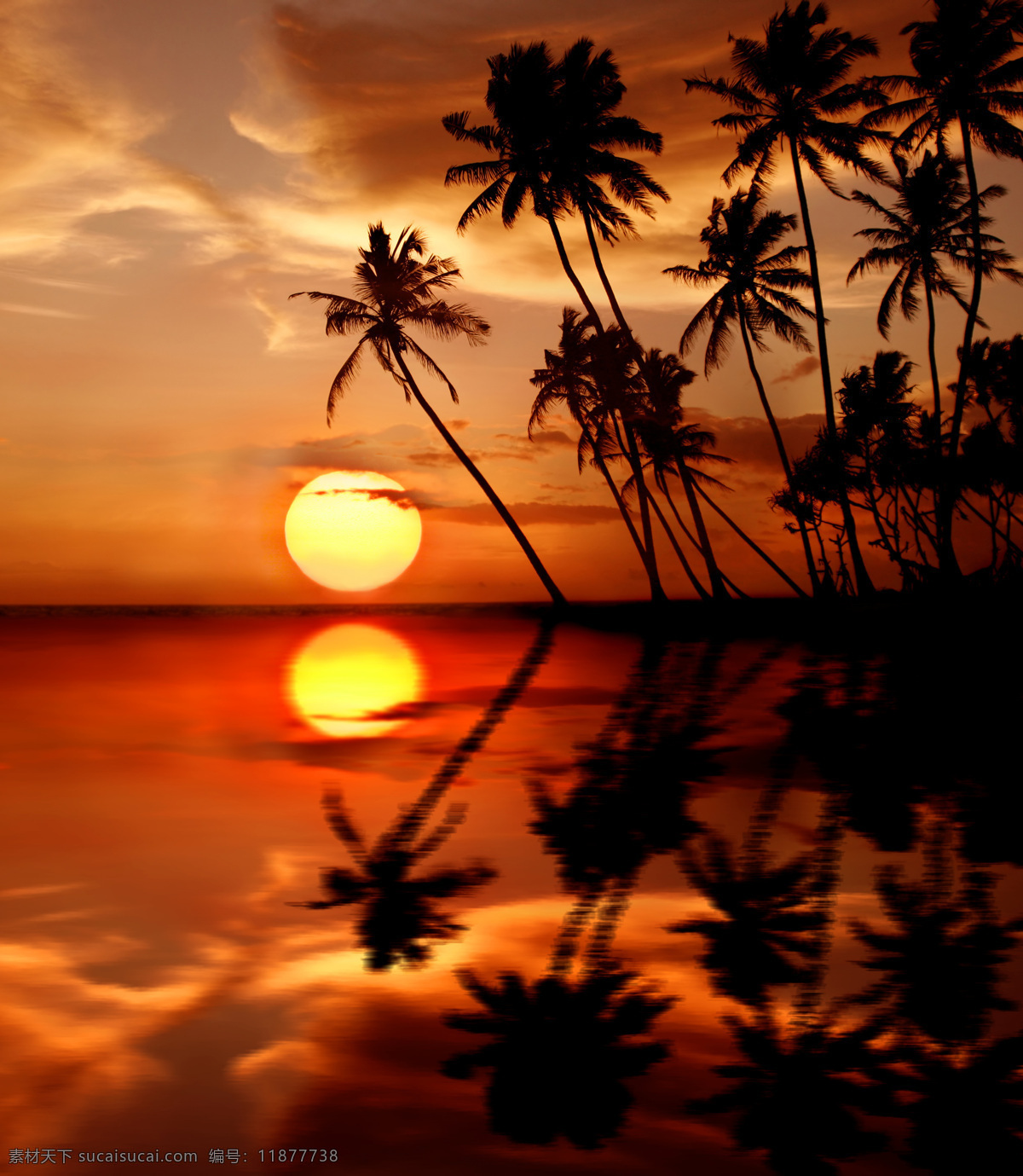 美丽 海边 夕阳 风景 天空 黄昏 美景 景色 风光