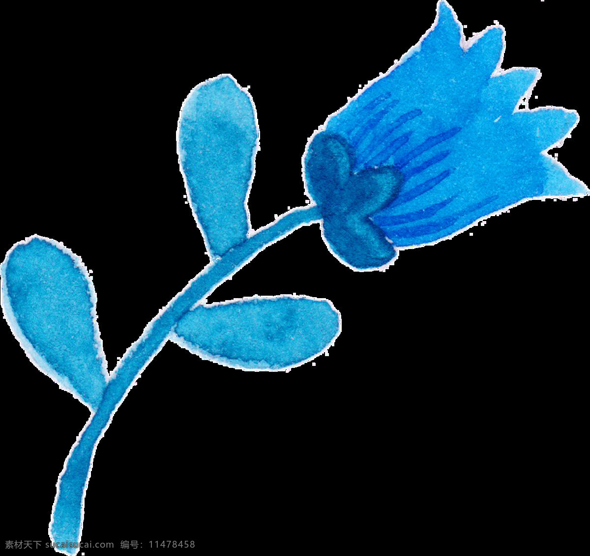 蓝色 玫瑰 卡通 透明 花朵 花束 透明素材 免扣素材 装饰图案