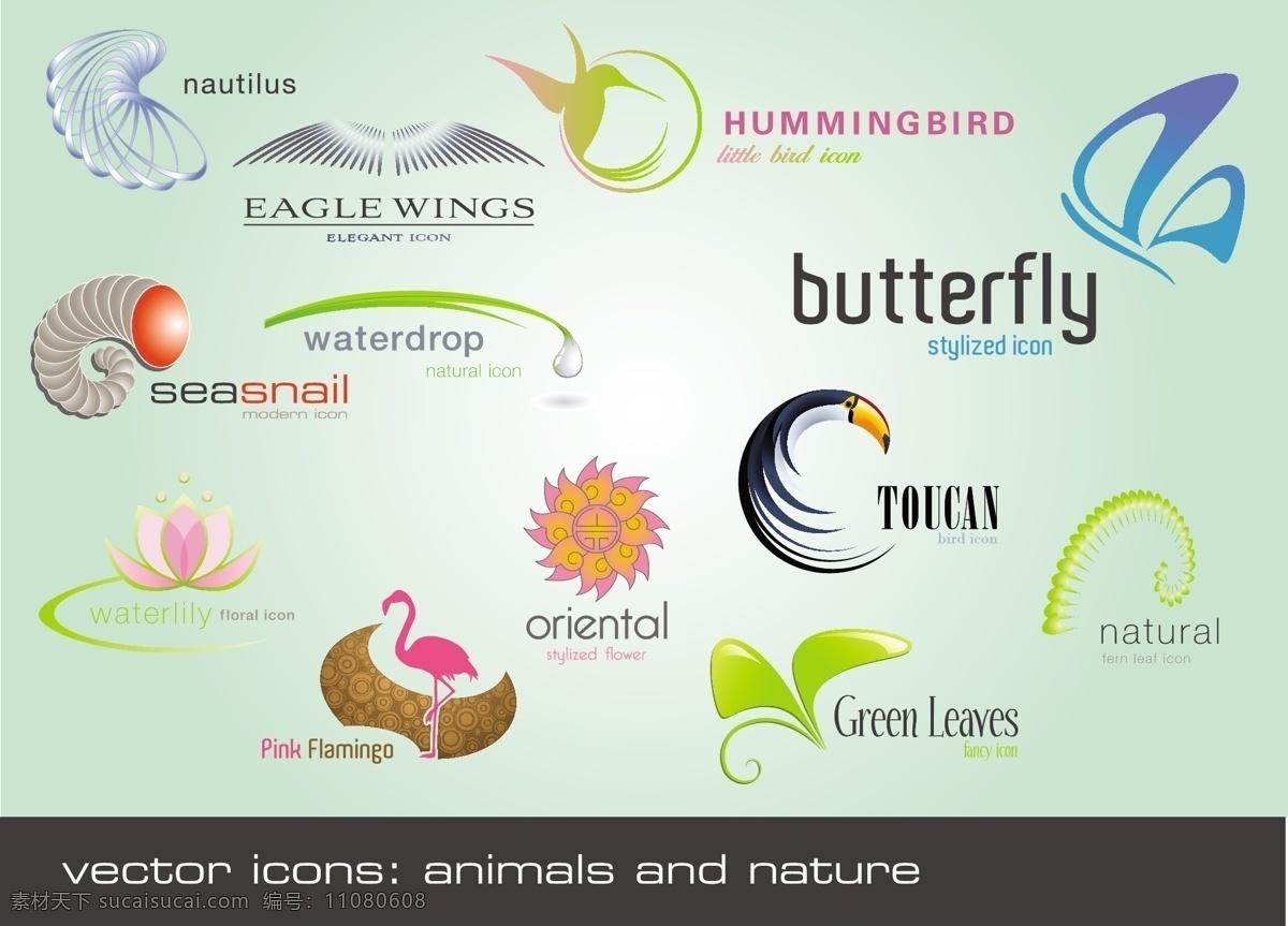 鸟类 自然生态 矢量 标识 集
