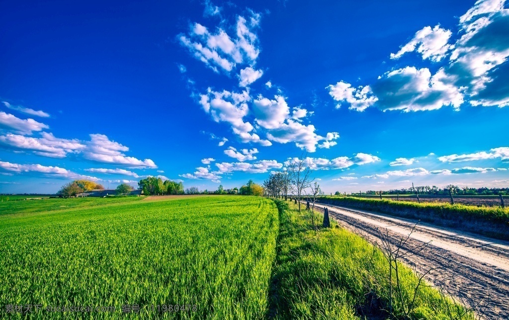 农场 田地 农田 土地 耕地 粮地 农业 生活百科 生活素材 自然风光 自然景观 自然风景