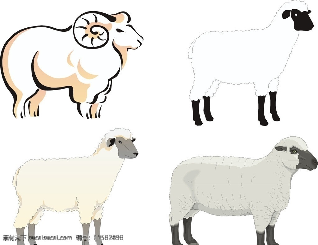 矢量卡通羊 山羊 绵羊 羊磊 矢量山羊 矢量羊 矢量素材 羊毛 羊角 矢量绵羊 卡通设计 矢量