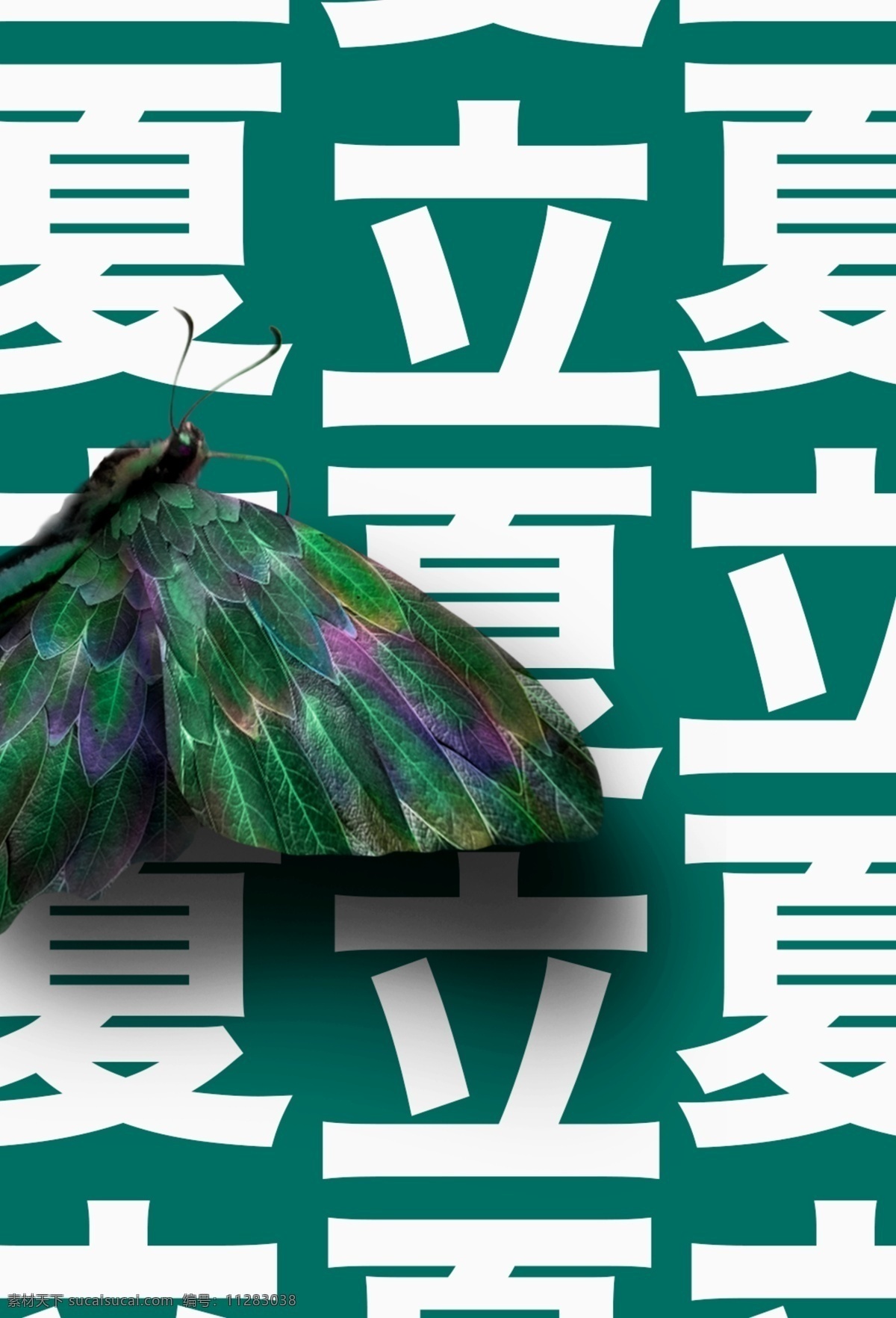 立夏 蝴蝶 高 质感 海报 绿色 分层