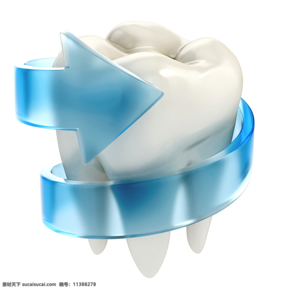 蓝色 箭头 围绕 白色 牙齿 缠绕 牙科 模型 人体器官图 人物图片