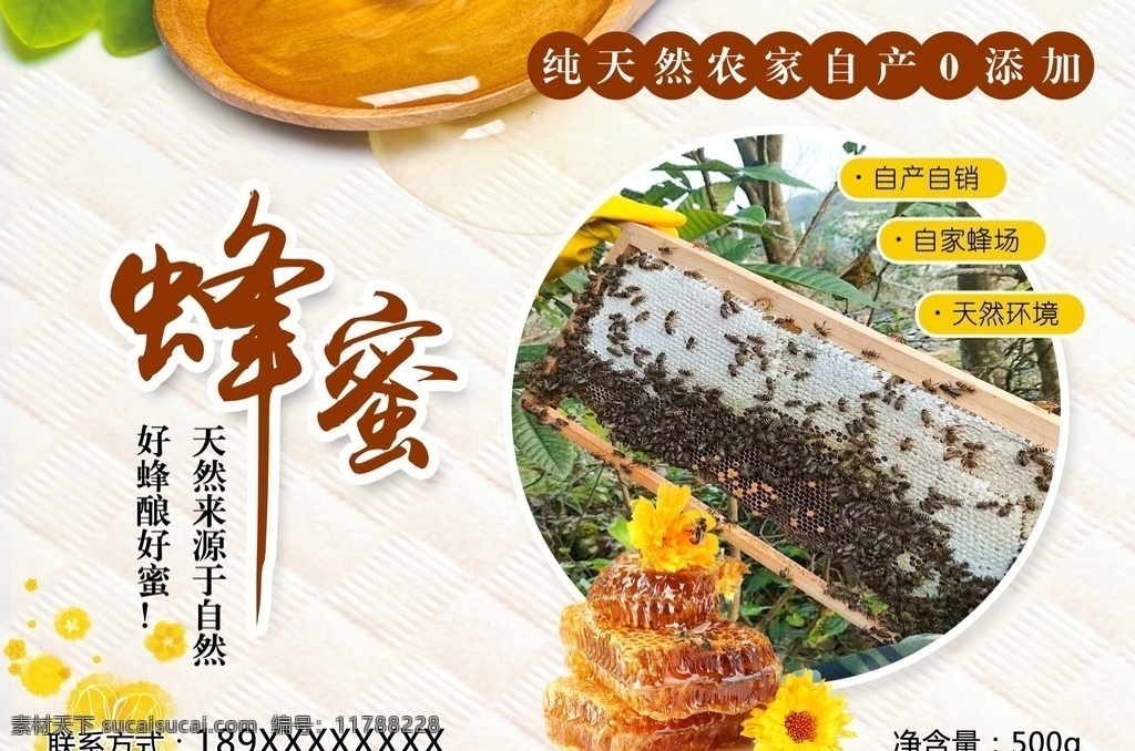 蜂蜜贴纸 蜂蜜 椴树蜜 纯蜂蜜 原蜜 蜂蜜瓶子贴纸 纯蜂蜜瓶贴纸 分层