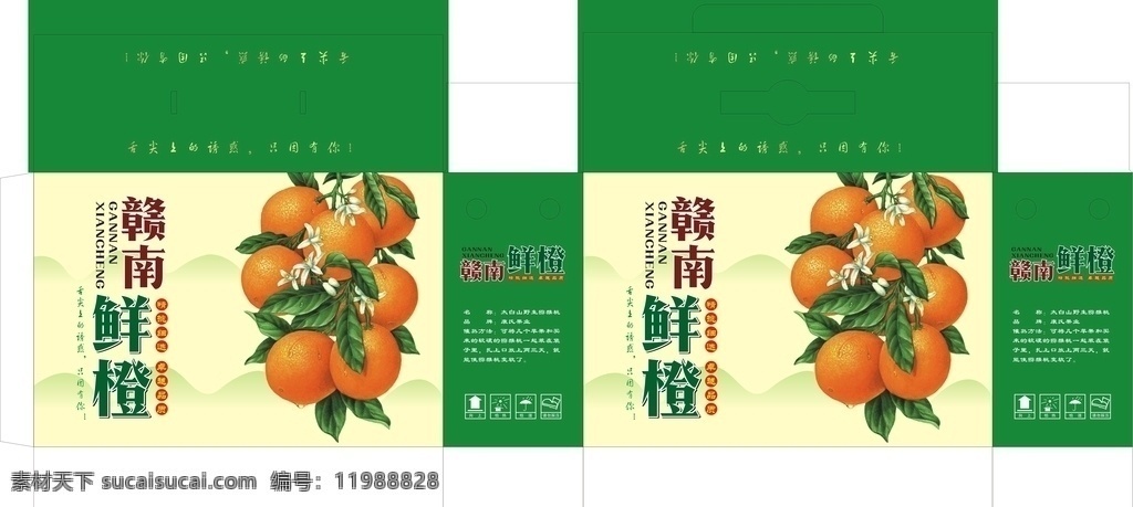 橙子包装 包装 水果包装 水果礼品箱 包装设计