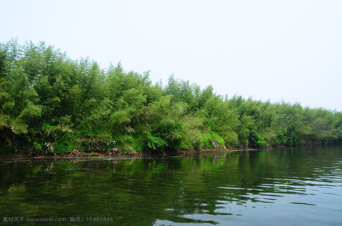 竹免费下载 倒影 海 绿水 竹 竹海 自然风景 自然景观 美丽的竹海 矢量图 日常生活