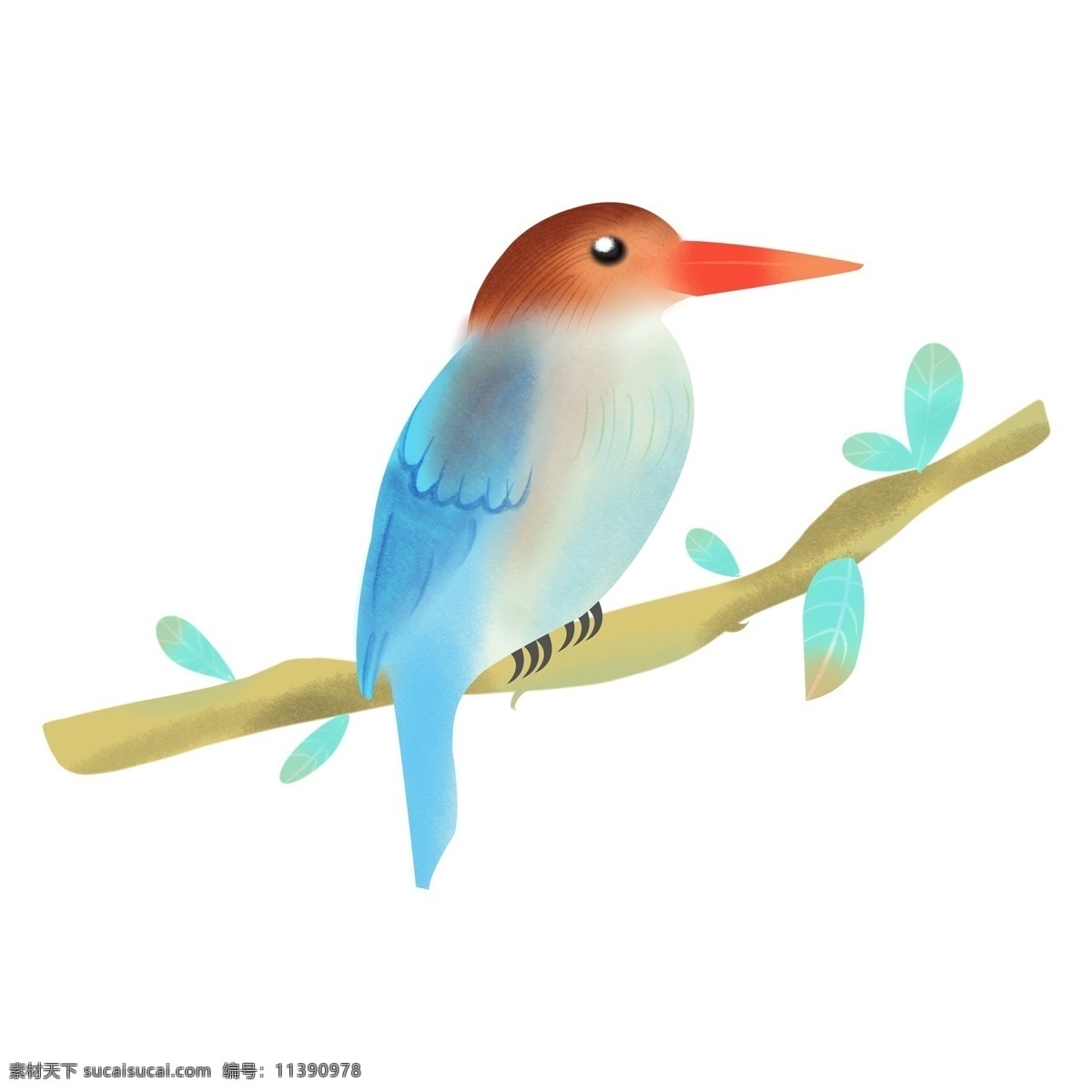 落 枝头 上 小鸟 元素 动物 手绘 png元素 免抠元素 彩色
