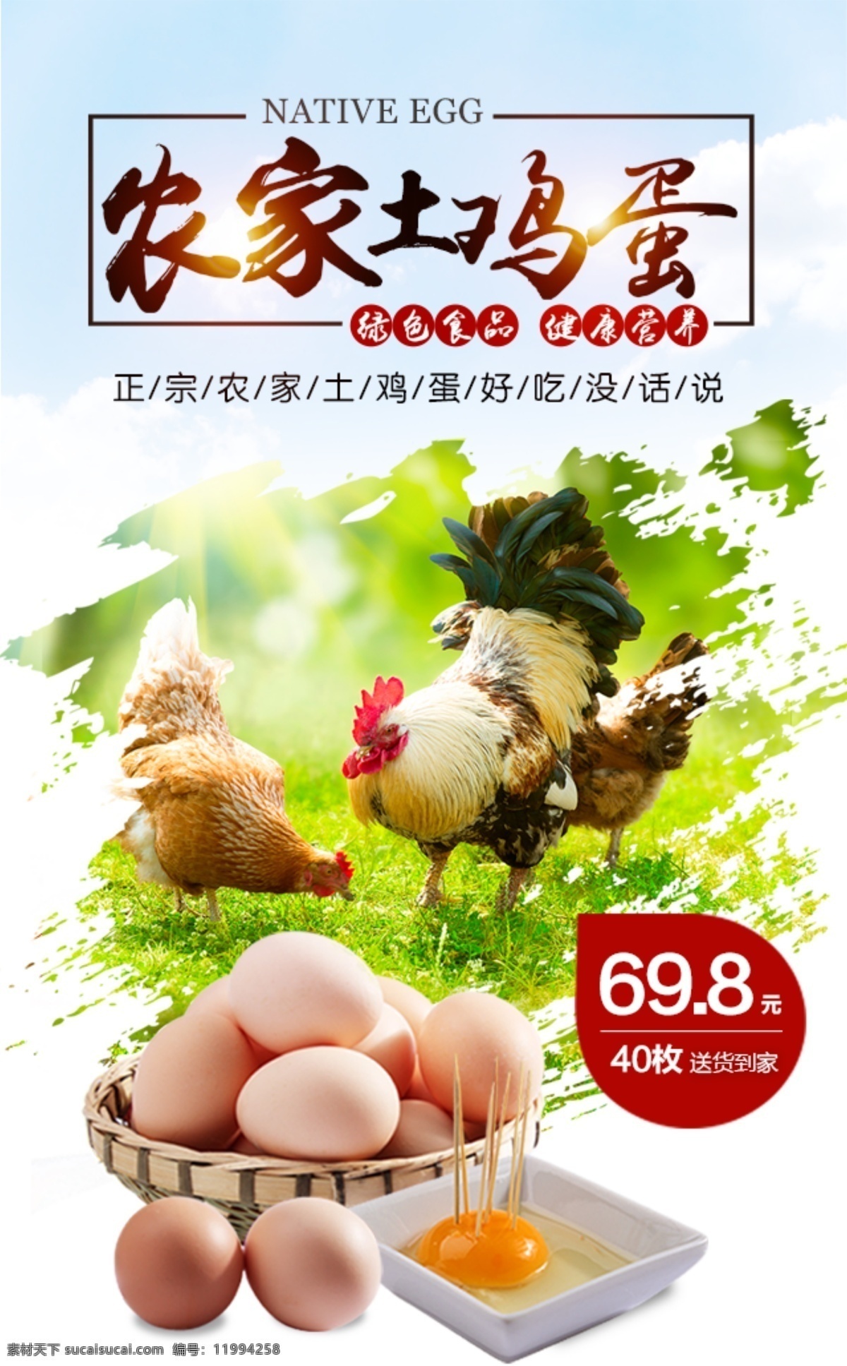 农家 土 鸡蛋 手机 端 土鸡蛋 手机端 海报 宣传图 绿色食品 母鸡