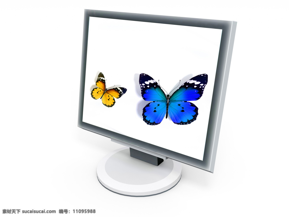 液晶 显示器 3d 模型 液晶显示器 电脑 宽屏 屏幕 桌面 墙纸 蝴蝶 电脑配件 高档 质感 3d模型 高清图片 电脑数码 生活百科