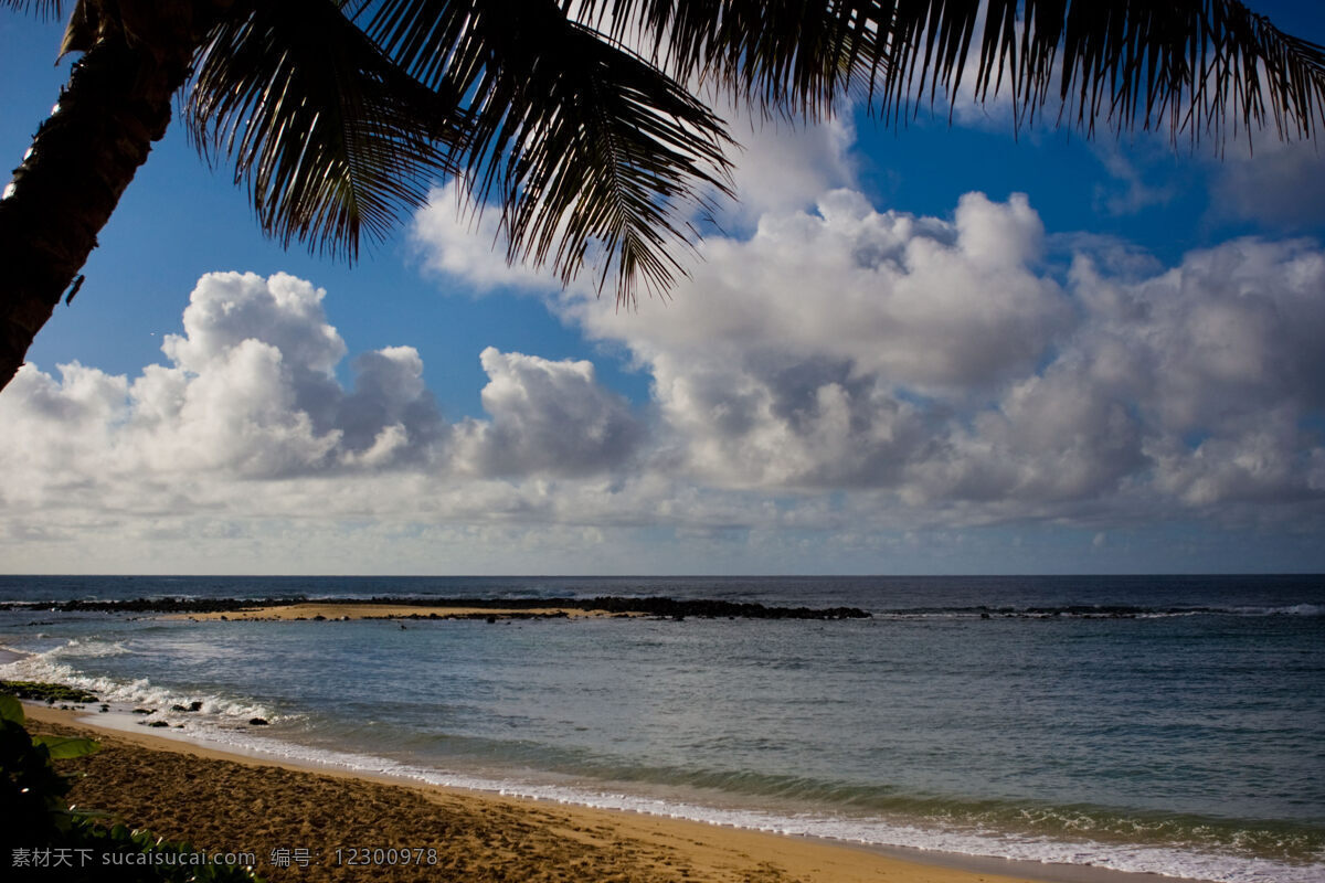 波浪 风光摄影 风光摄影图片 风光图片 海浪 海水 海滩 蓝天白云 夏威夷 美景 夏威夷美景 自然风光 夏威夷风光 沙滩 椰树 美丽风光 美丽风景 自然风景 自然景观 psd源文件