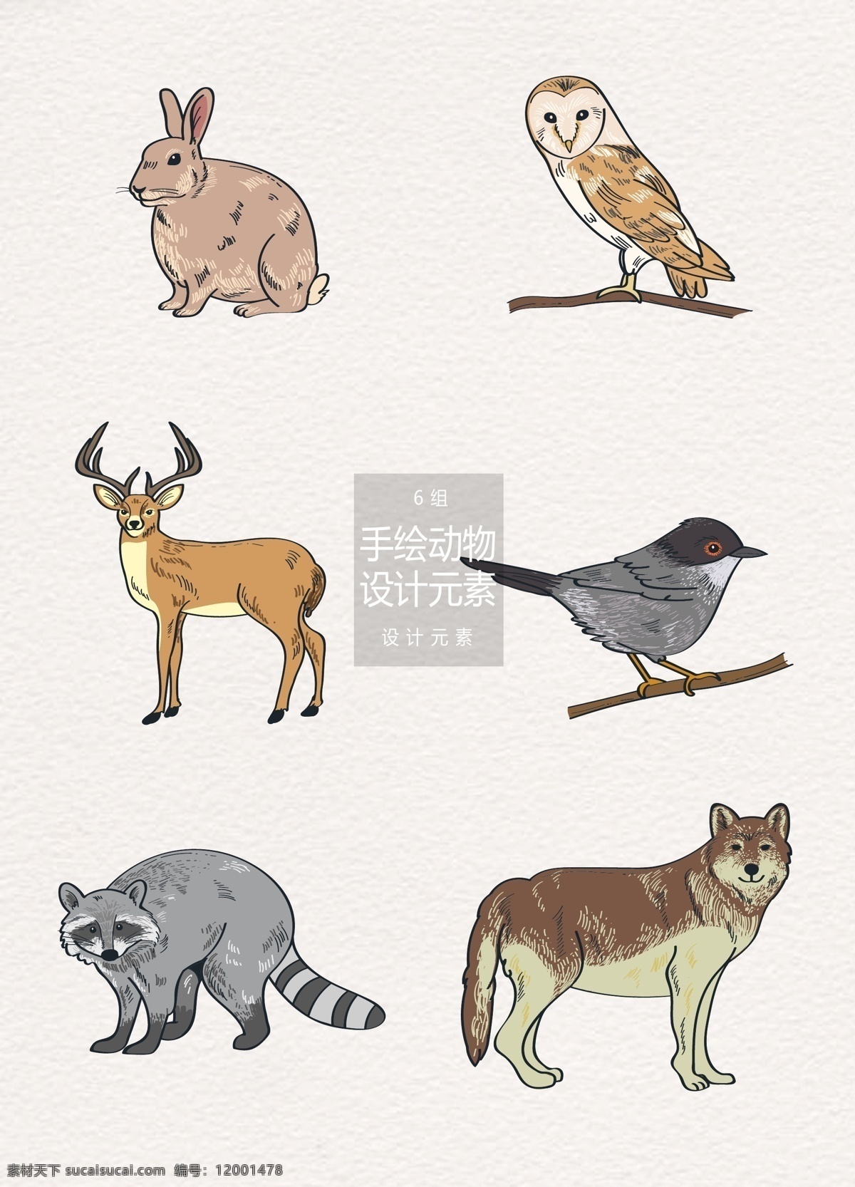 手绘 动物 插画 元素 设计元素 兔子 森林 小鸟 手绘动物 动物插画 猫头鹰 狼 驯鹿 麋鹿