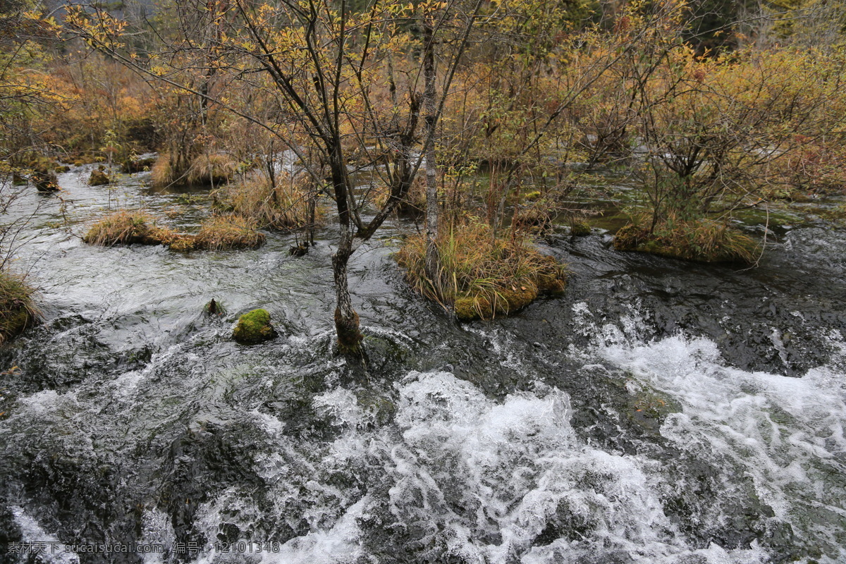 九寨沟风光 九寨沟旅游 四川旅游 四川风景 四川美景 山水 风光 阿坝州风景 瀑布 旅游摄影 国内旅游