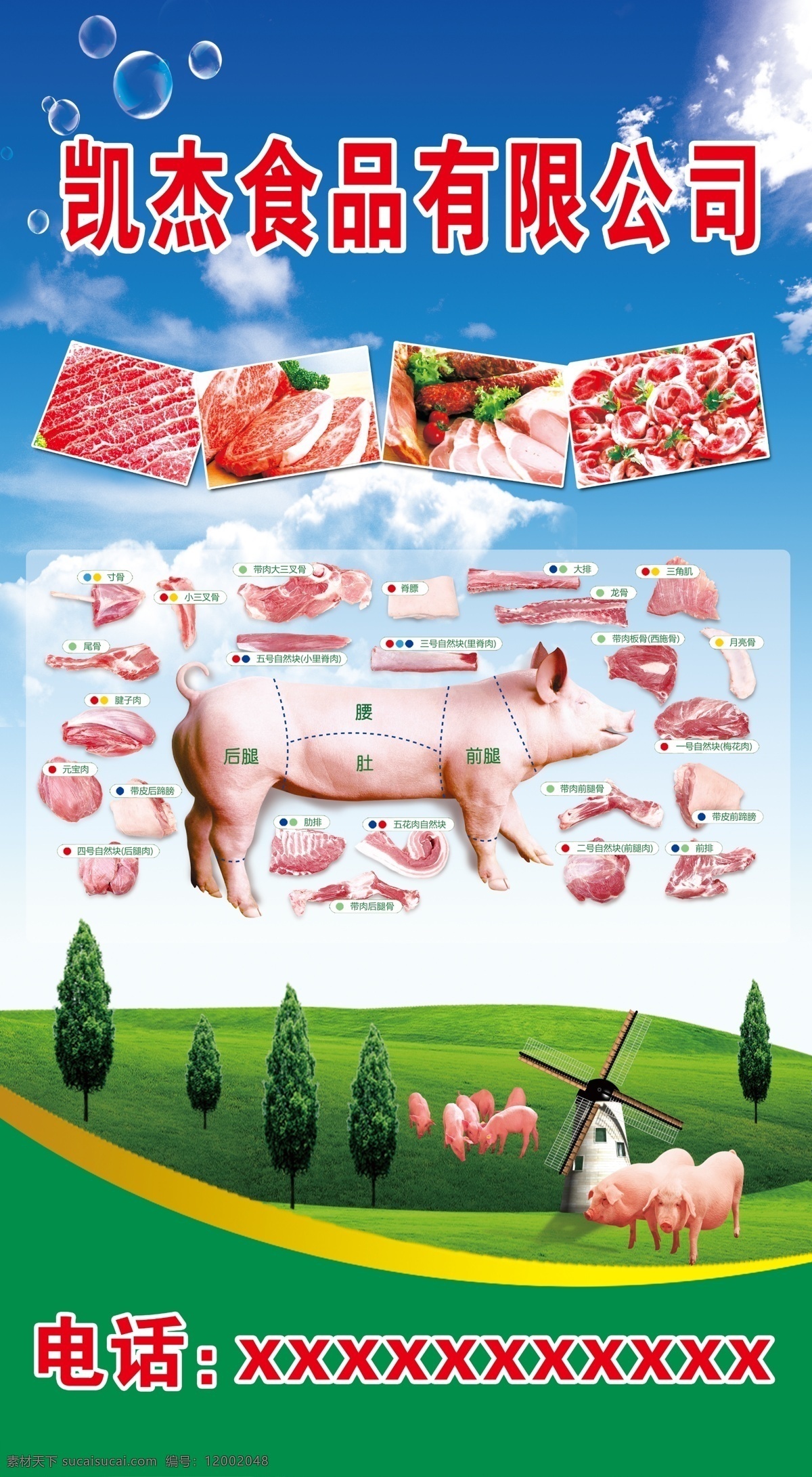 冷 鲜肉 猪肉 分解 图 冷鲜肉 肘肉分解图 猪肉展板 食品公司海报 猪肉详解图