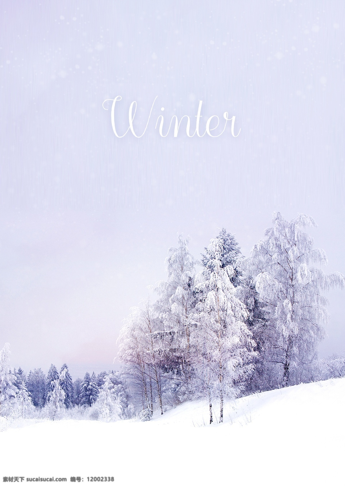 美丽 冬天 森林 大 眼睛 海报 壁纸 n 树 雪板 微光 漂亮 天子色 大雪