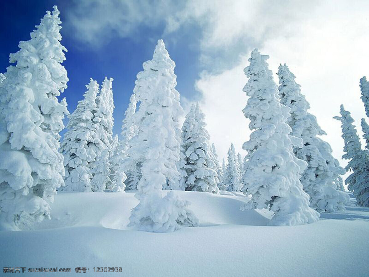 雪景免费下载 冰河 房子 风景 枯树 摄影图库 树木 雪地 雪景 自然风景 自然景观 卡通 动漫 可爱