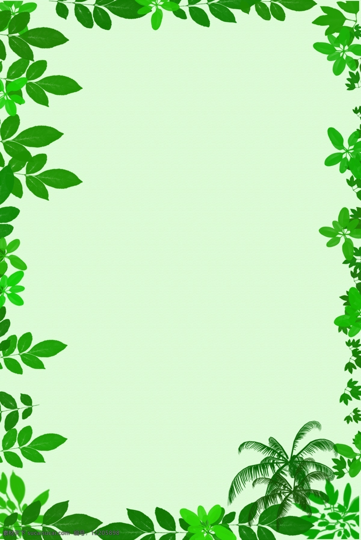 小 清新 绿色 叶子 边框 背景 小清新 边框背景 植物边框 立春 春天 卡通 简约