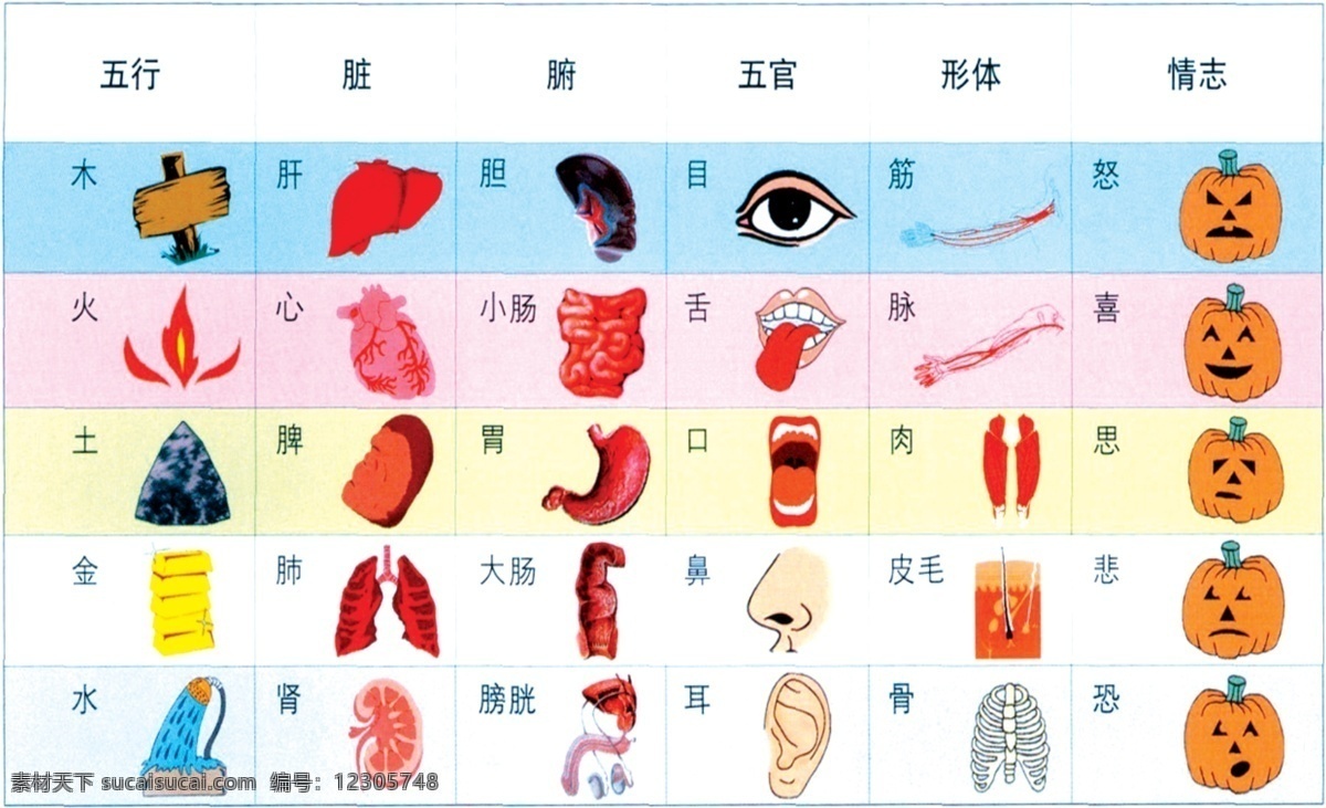 广告设计模板 名片 名片卡片 无限极 源文件 中医 无限 极 背面 模板下载 五行五脏 五脏与情志 海报 其他海报设计