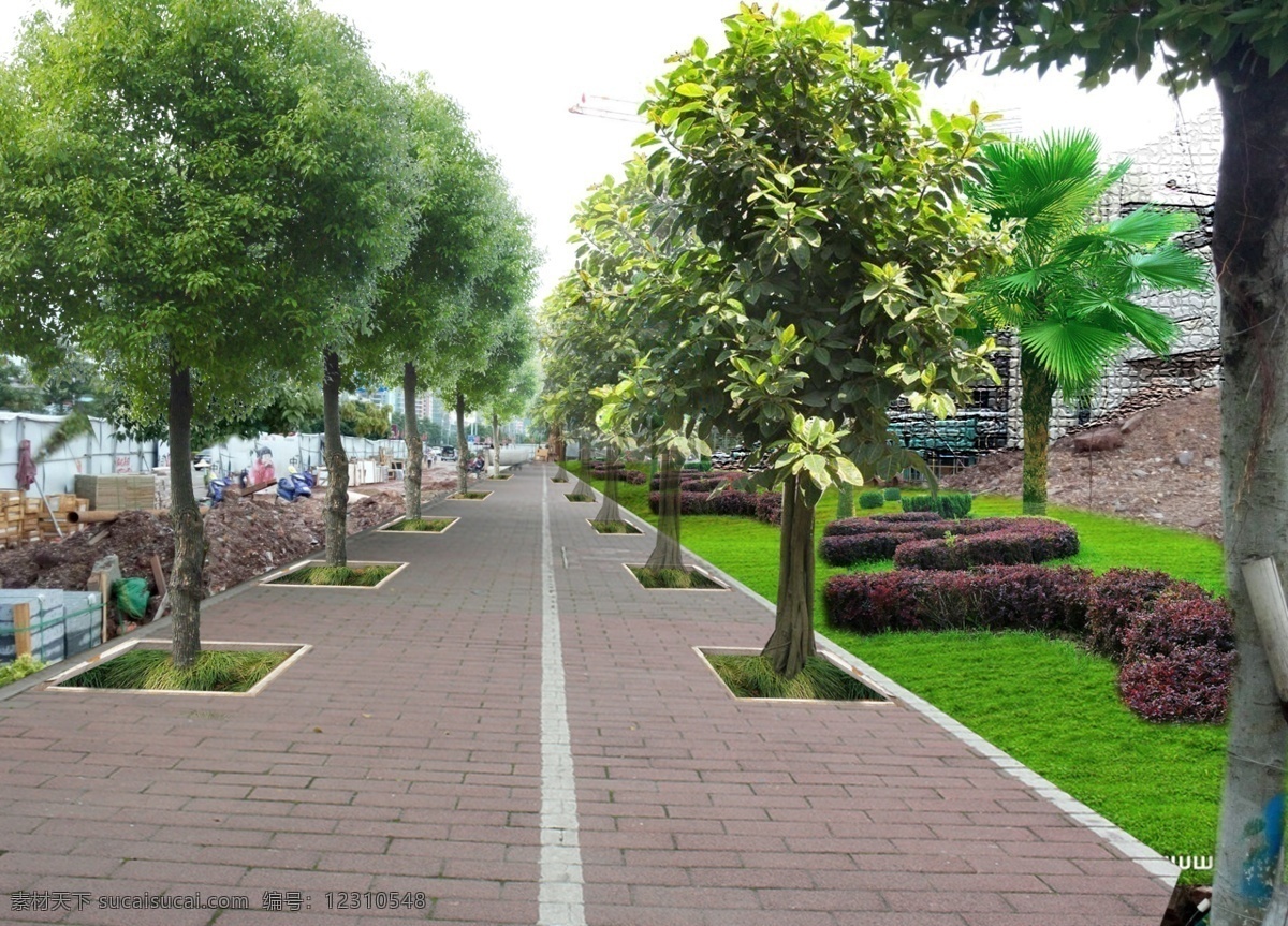 市政 人行道 绿化 透视图 园林 景观 效果 道路 透视 人视 铺装 植物 行道树 市政道路 广场绿化 分层