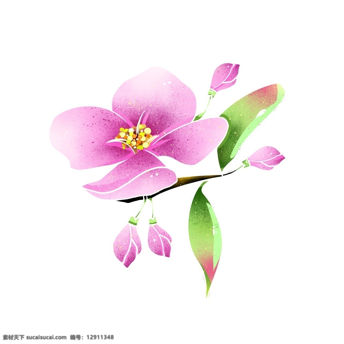 粉色 桃花 花苞 朵朵 开 桃花朵朵开 桃花花苞 春天