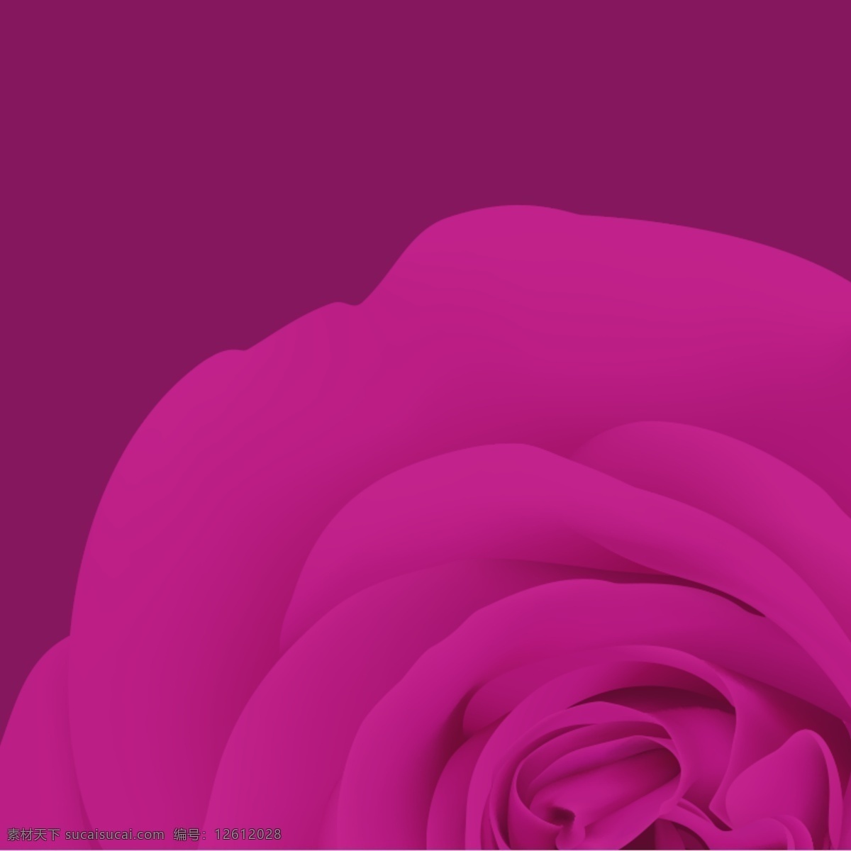 紫色 浪漫 情人节 玫瑰花 底纹 直通车 钻 展 背景 钻展