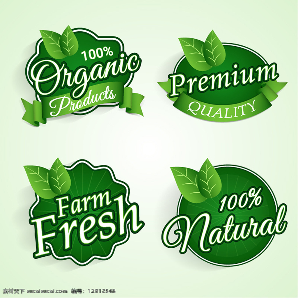 装饰 叶 生态 标签 选择 采购产品标签 绿色 自然 农场 树叶 有机 再循环 环境 贴纸 绿叶