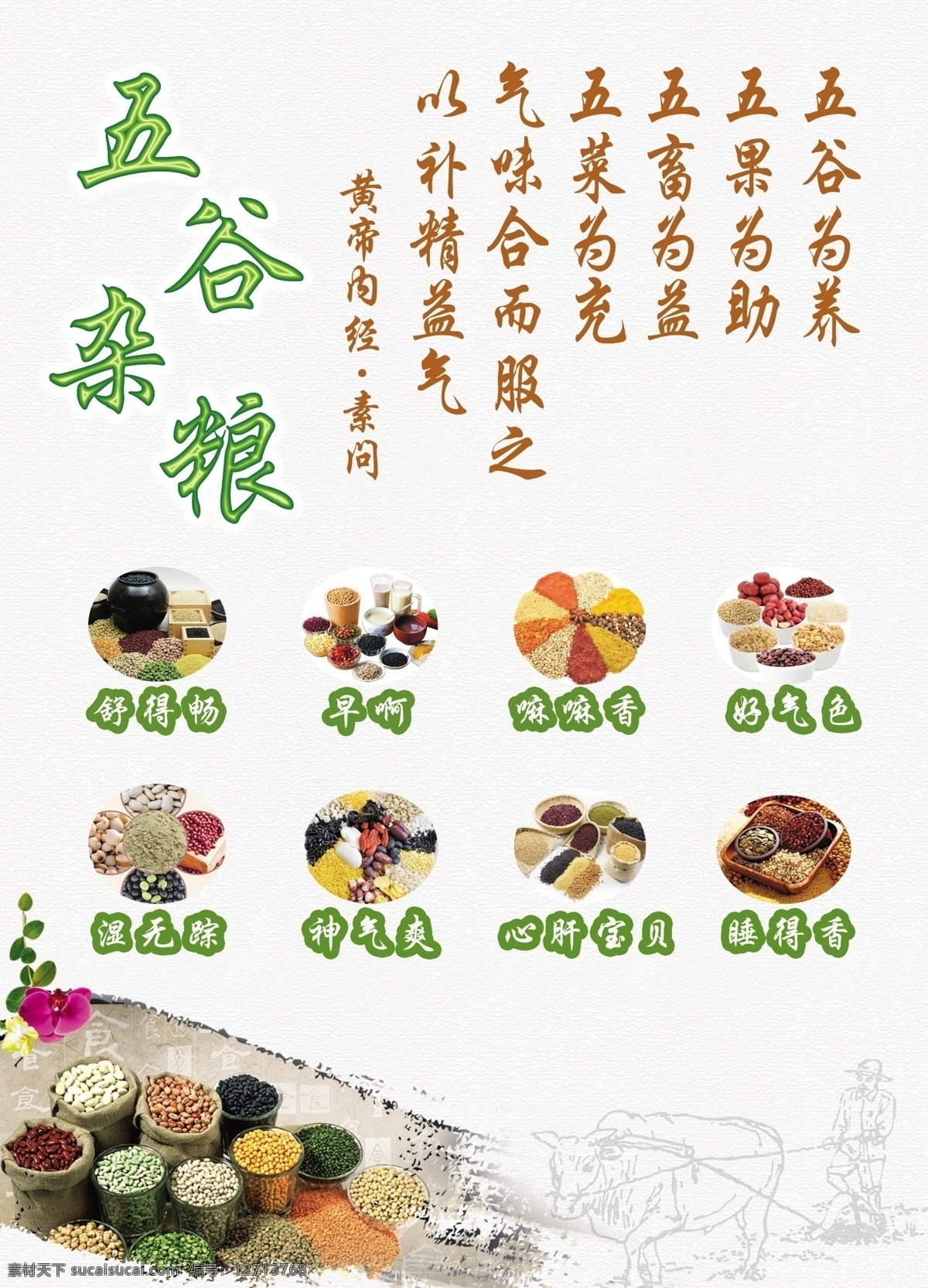 五谷杂粮 产品 宣传 单张 五谷粉 五谷代餐粉 白色