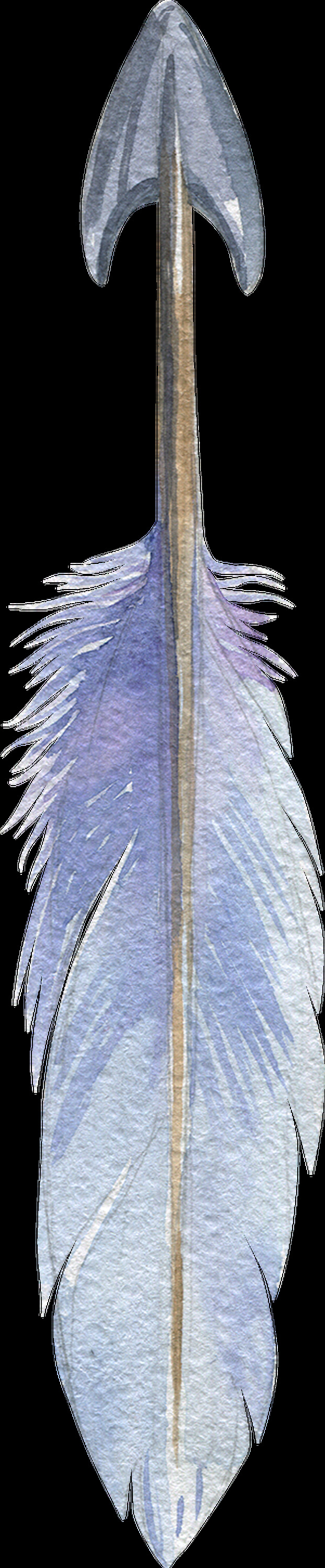 创意 羽毛 弓箭 卡通 透明 抠图专用 装饰 设计素材