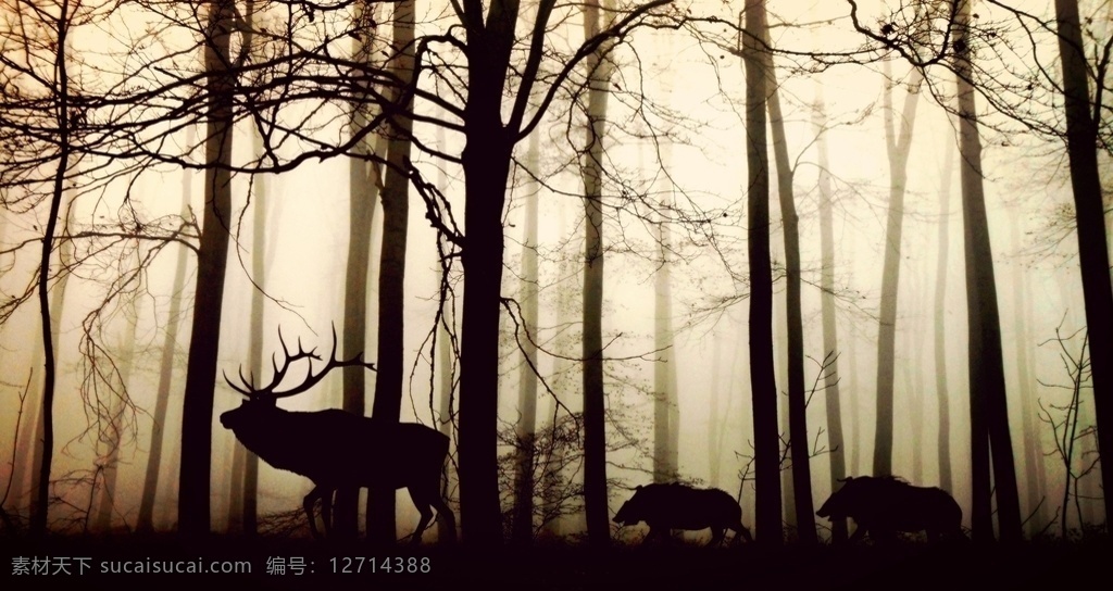 森林动物 森林 鹿 动物 树木 背景 壁纸 生物世界 野生动物