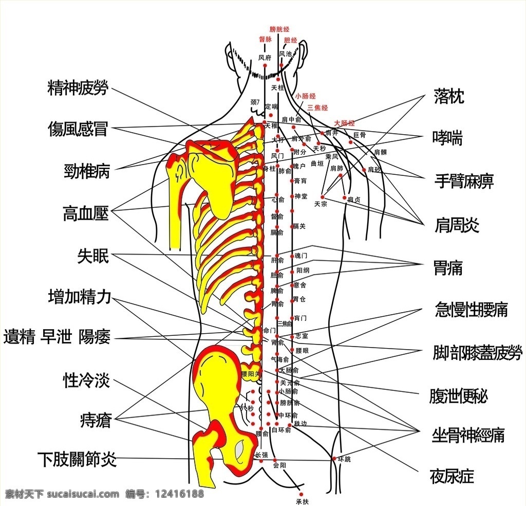 背部穴位图 其他设计 矢量