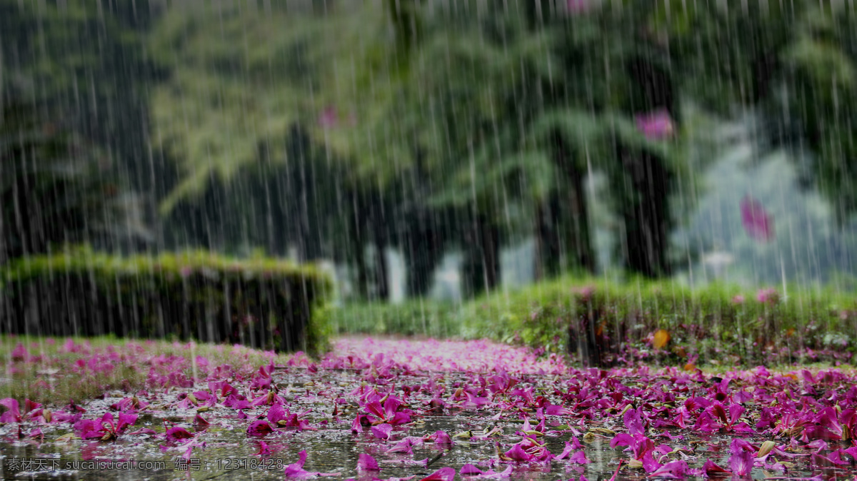 创意 花 花瓣 花草 花卉 花园 落花 雨 送 黄昏 易 落 下雨 花落 雨中 雨滴 雨蒙蒙 自然景观 雨景 自然风景