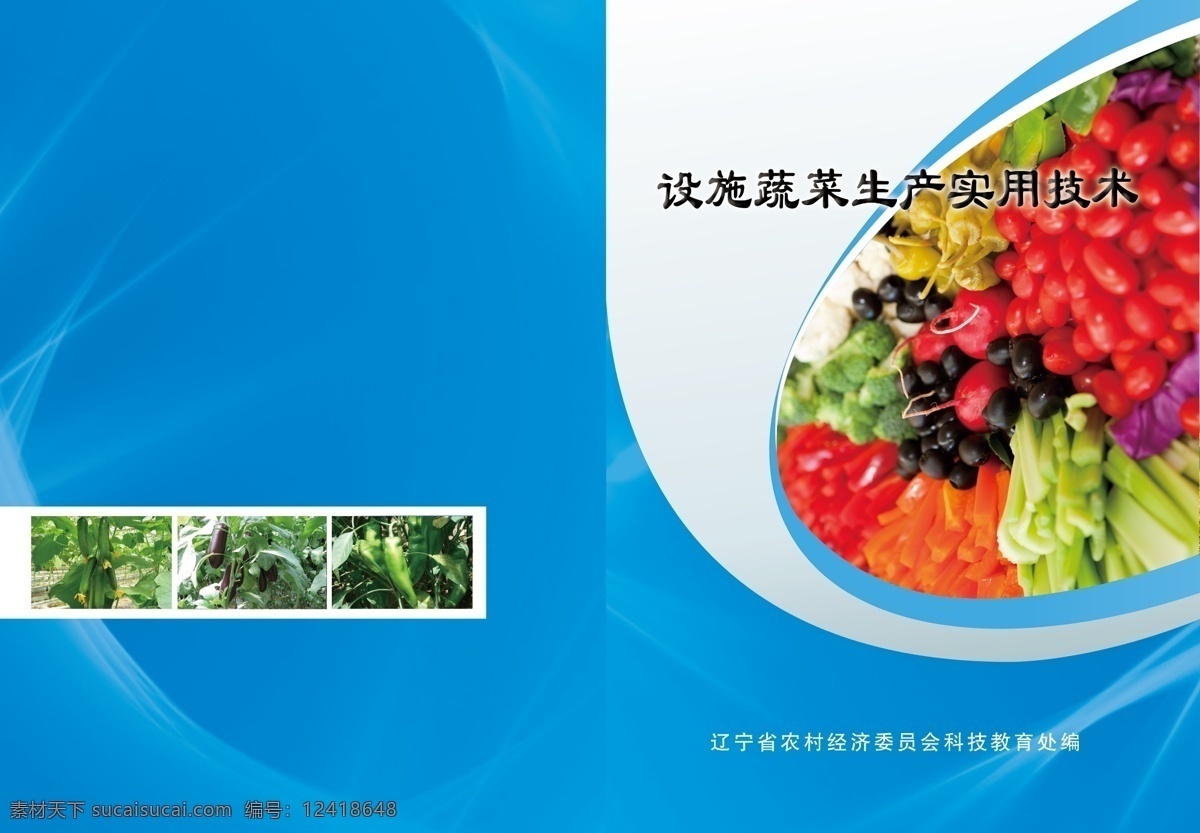 蔬菜生产 实用技术 封皮 农业 蔬菜 生产实用技术 农发局 科技 兴农 大32开 画册设计