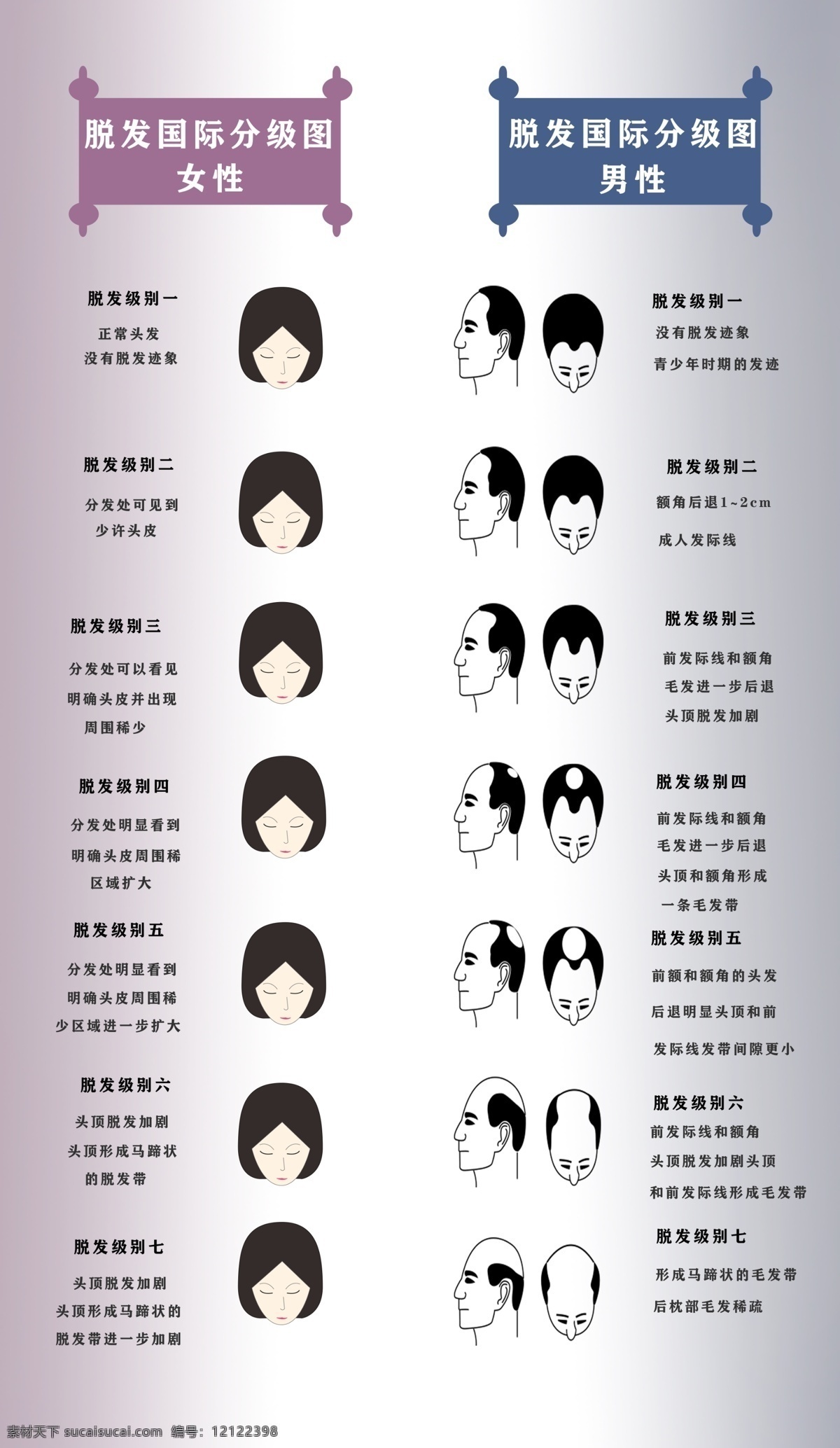 植发级别分类 国际 脱发 标准 对比 级别 dm宣传单