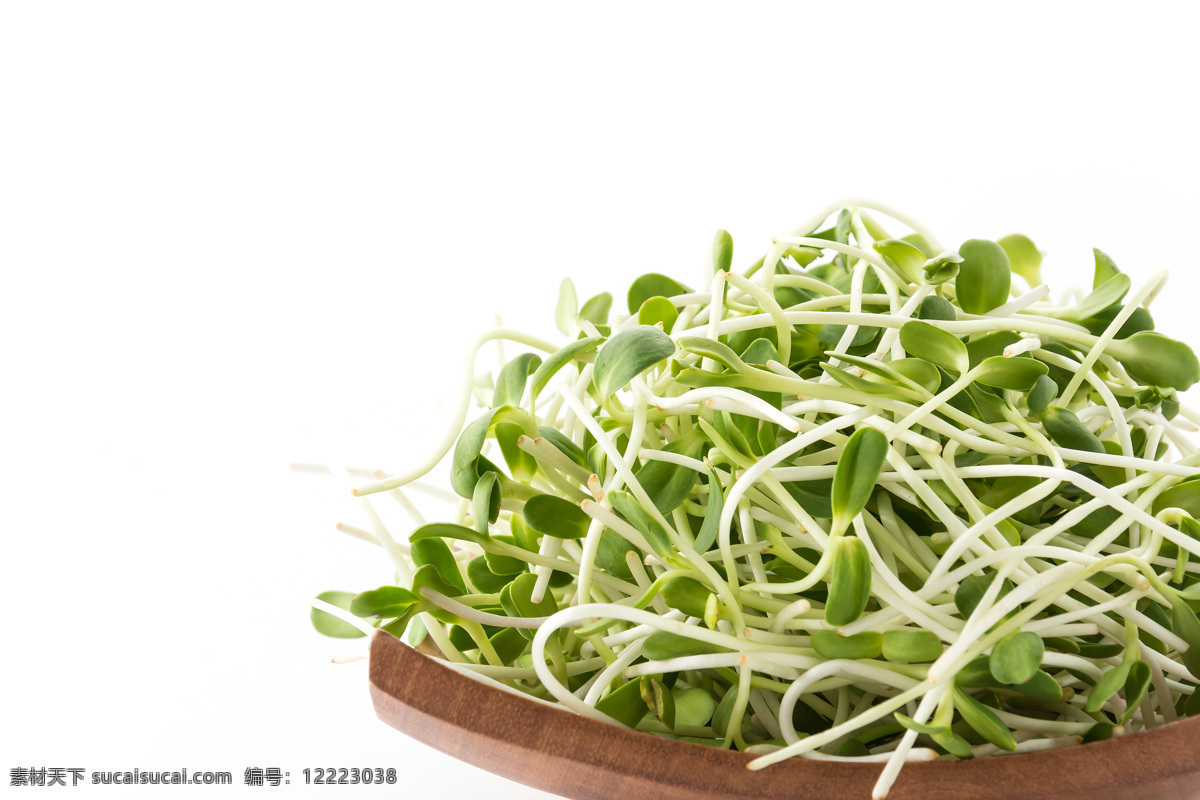 绿豆芽 蔬菜 瓜果 瓜果蔬菜 蔬菜摄影 餐饮 食物原料 农业相关 拼盘 蔬菜拼盘 生物世界