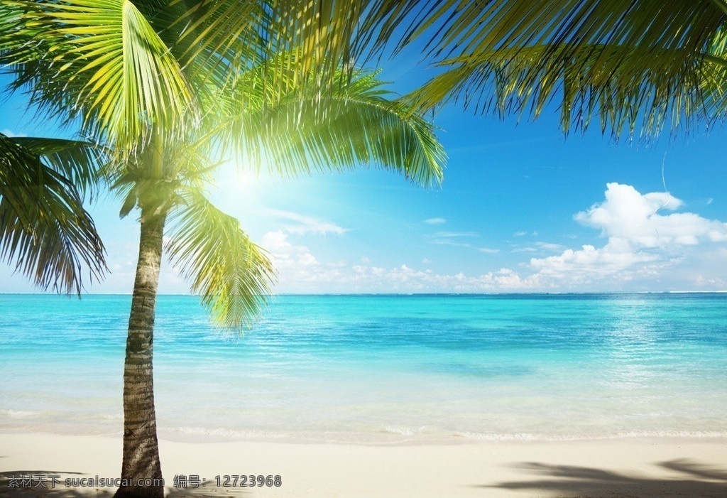 夏季 沙滩 背景 淘宝背景 椰子树 小清新 绿色 蓝天 白云 海洋水背景 山水风景 自然景观